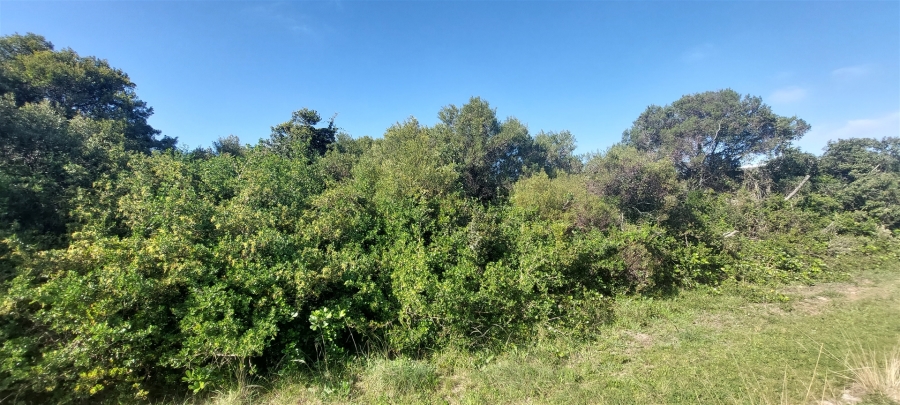 0 Bedroom Property for Sale in Paradise Beach Eastern Cape